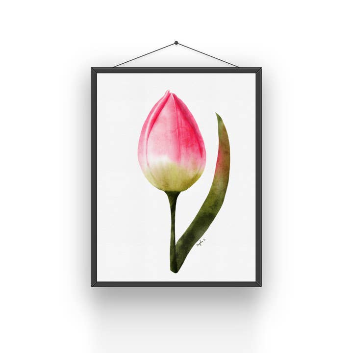 Watercolor Pink Tulip Art Print for wholesale by Modera Studio