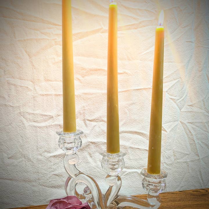 Gifts From The Farm - Vendita all'ingrosso Candele cilindriche/candelieri - Coni in cera d'api al 100%, confezione da 22