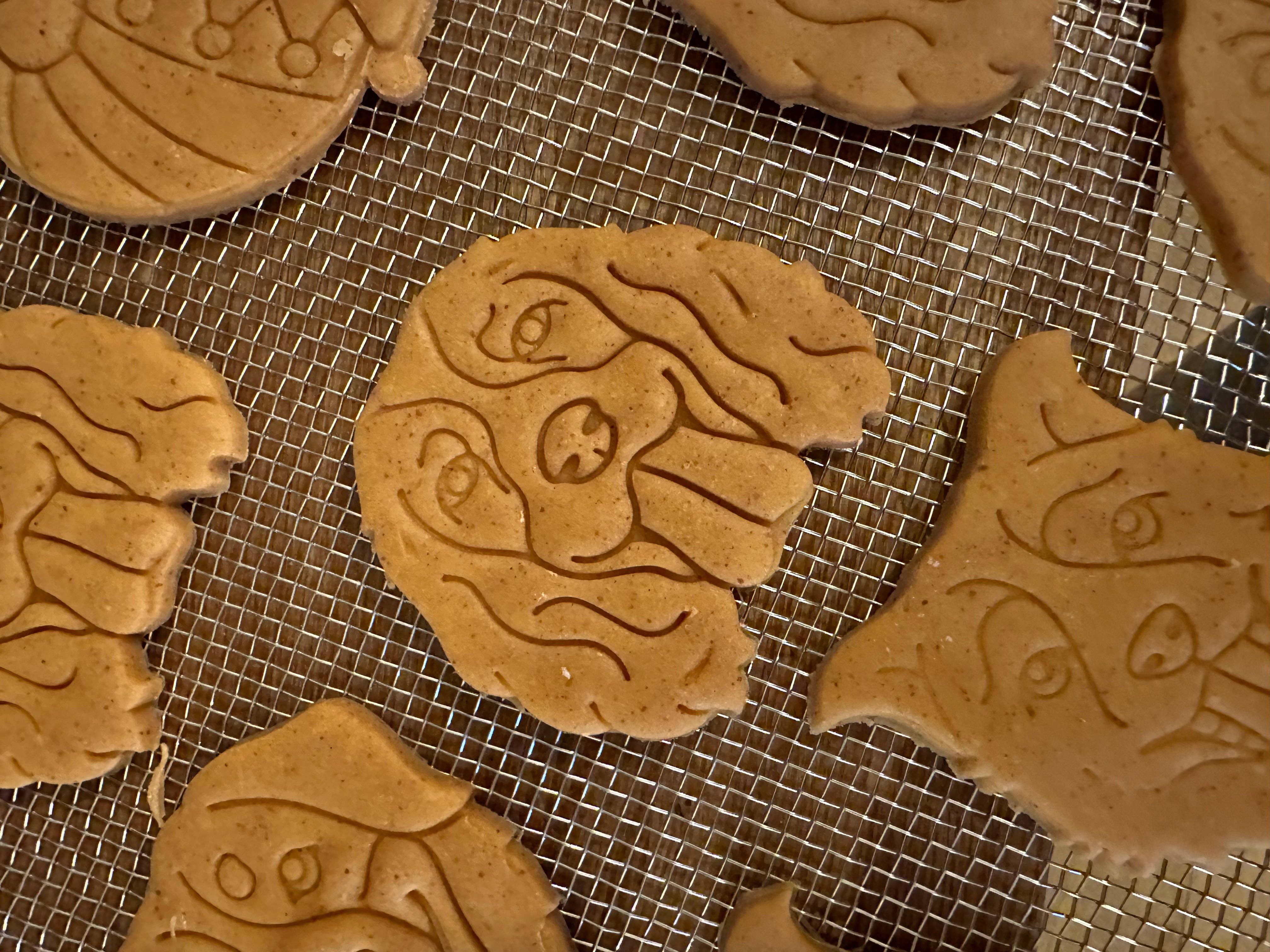 The Dog Shack - Vente Biscuits – chien - Biscuits pour chiens en forme de beurre de cacahuète sans céréales42