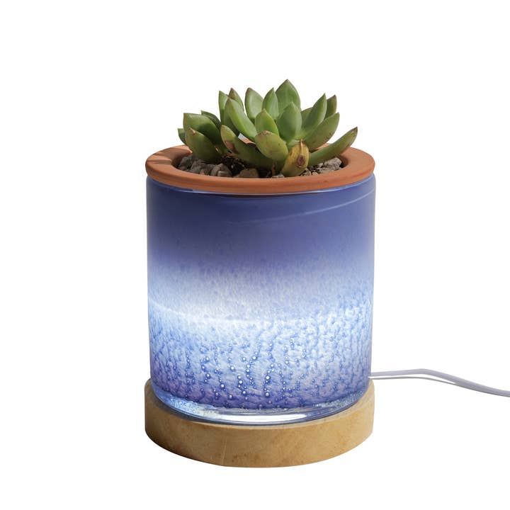 ApricotMint - Wholesale Planter Box - 4.5" LED Self Watering Art Glass Planter9