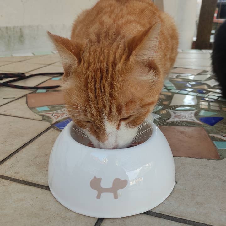 United Pets - Wholesale Pet Bowl - Cat/Dog - Extra small ceramic bowl for cats and dogs9