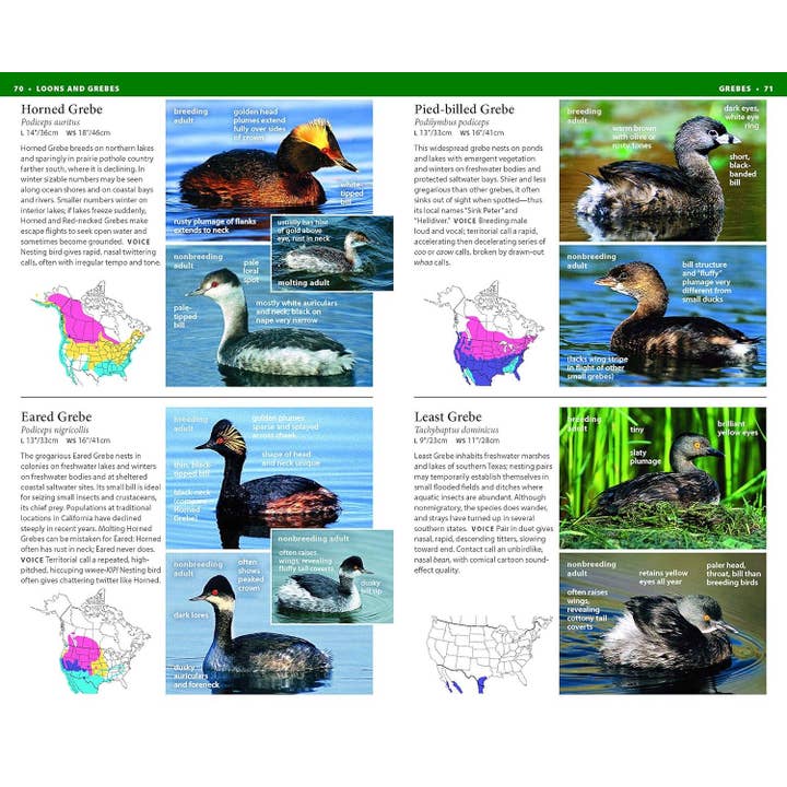 Hachette Book Group - Wholesale Nature & Outdoors - NWF Field Guide to Birds of North America2