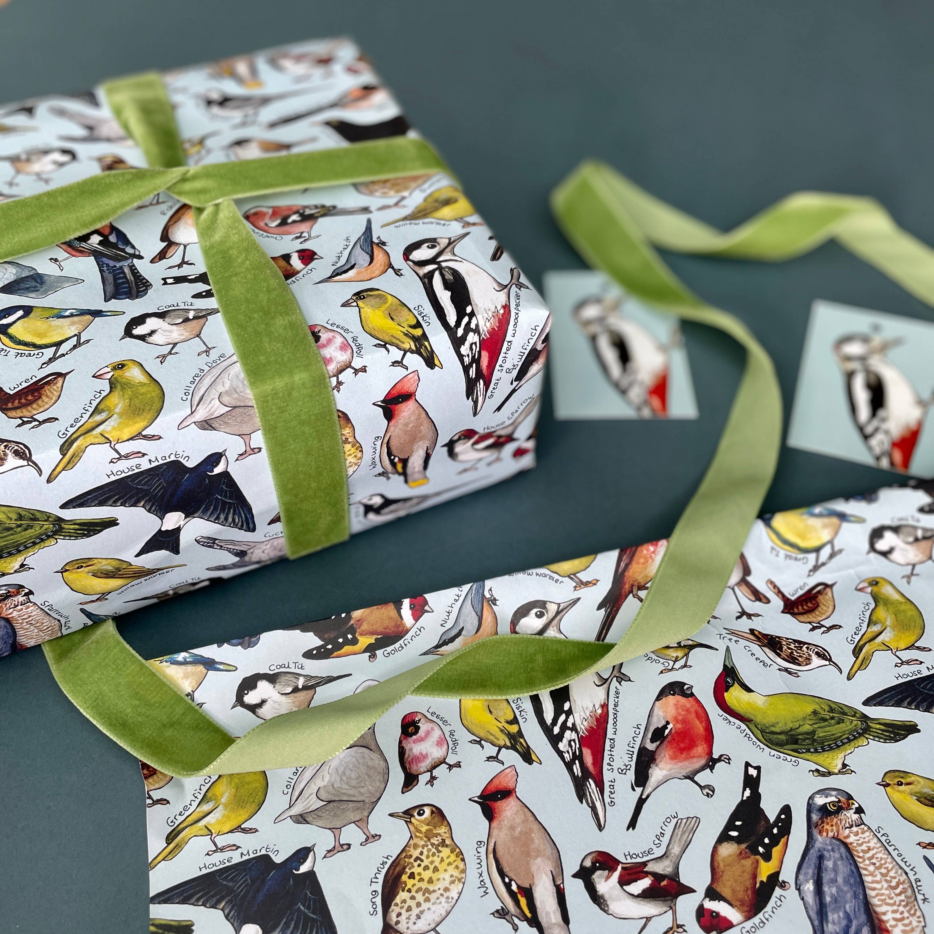 Alexia Claire Ltd - Wholesale Flat Wrap - Garden Birds of Britain wrapping paper Sheets1