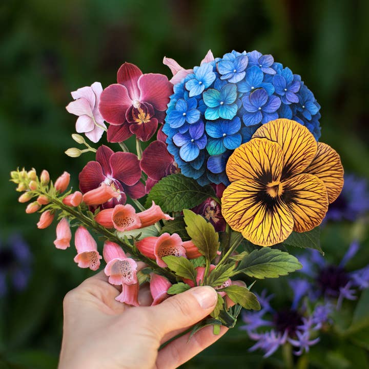 Moth and Myth - Wholesale Cutouts - Ornate Bella Moth & Dalmatian Foxglove Paper Specimen Set 4