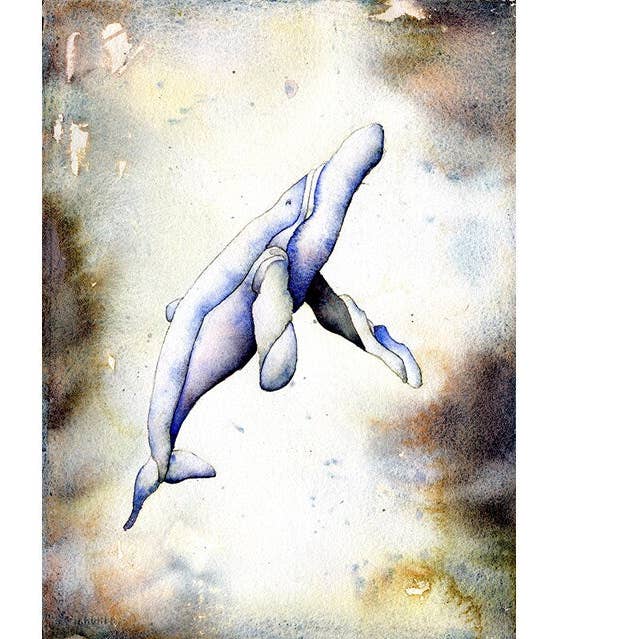 Valsimning- nautiska konstverk av valsimning i havet. Whale konst målning heminredning strand hus konst hav akvarell målning för wholesale av Ryan Fox Fine Art