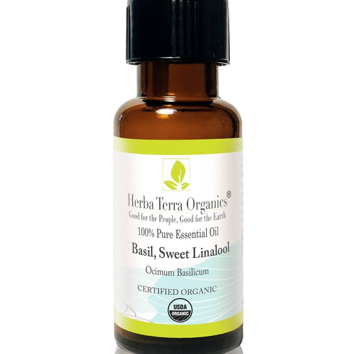 USDA organisk basilikum, sød linalool æterisk olie 1 oz for engroshandel hos Herba Vera Organics