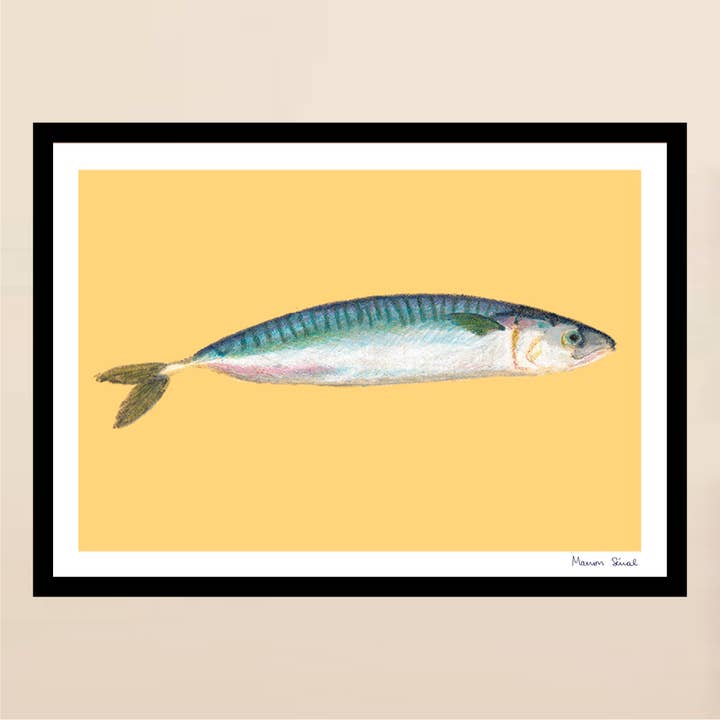 Affiche - Pastel - Maquereau (poisson) pour la vente par L'Esquermoise par Manon Sénal