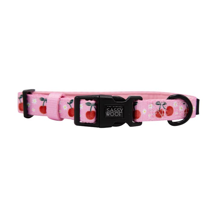 SASSY WOOF - Wholesale Pet Collar - Dog - Dog Collar - Mon Cherry (Fruits)