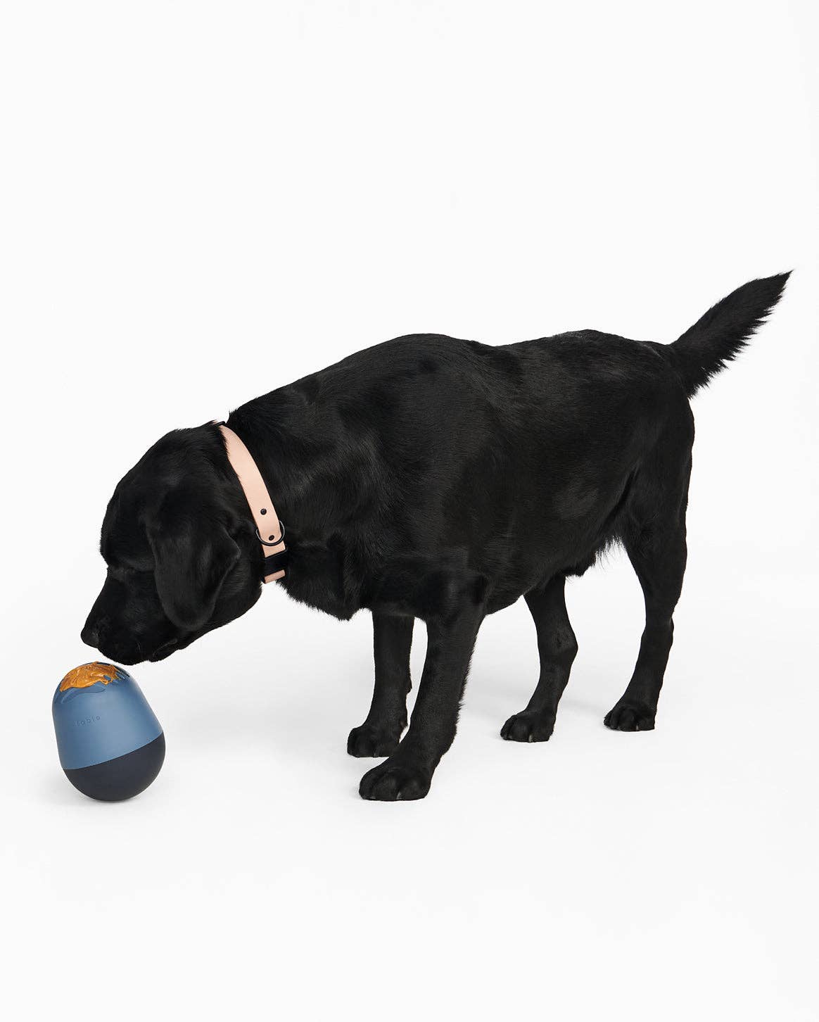 Fable Pets - Wholesale Pet Bowl - Cat/Dog - The Game™ Puzzle Feeder10