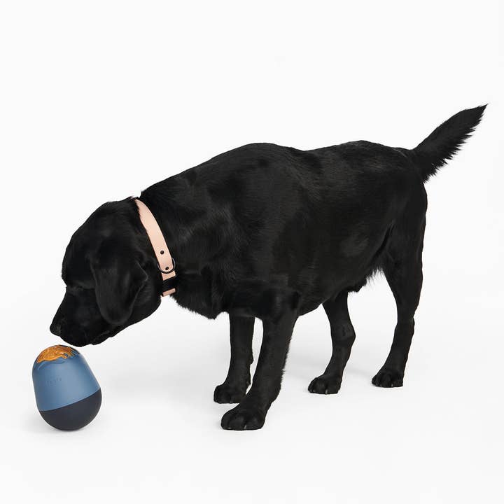 Fable Pets - Wholesale Pet Bowl - Cat/Dog - The Game™ Puzzle Feeder10