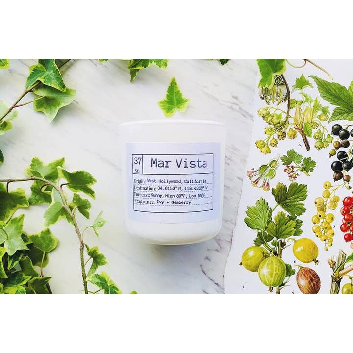 Mar Vista Soy kaars voor wholesale door Flores Lane