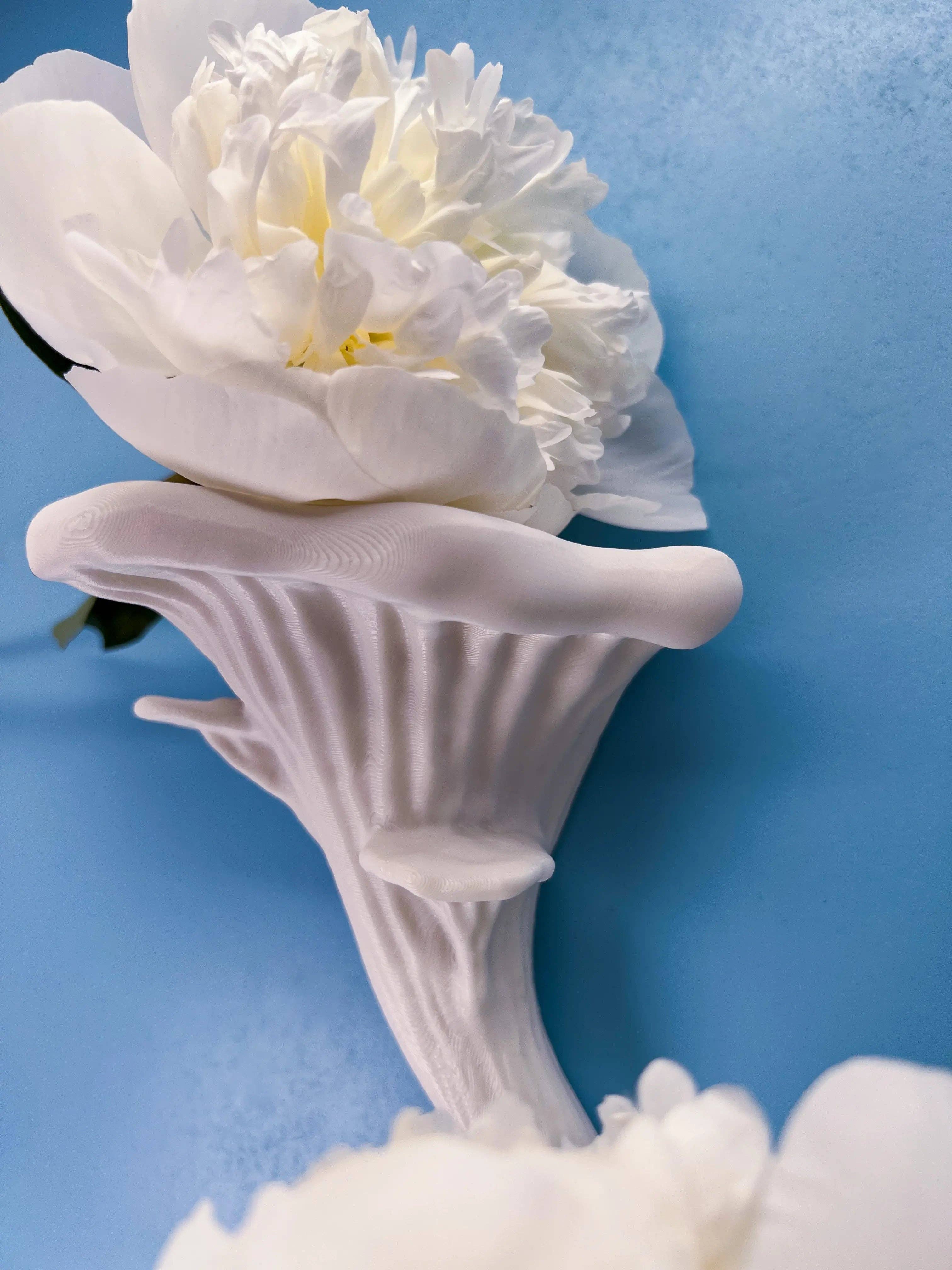 Roomberry - Wholesale Wall Mounted Shelf - Floating Oyster Mushroom Wall Shelf1