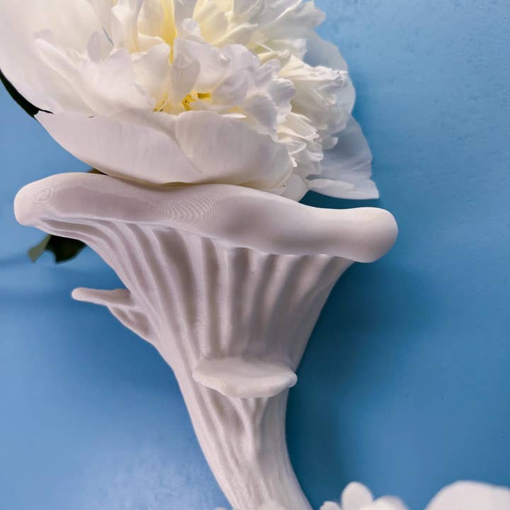 Roomberry - Wholesale Wall Mounted Shelf - Floating Oyster Mushroom Wall Shelf1