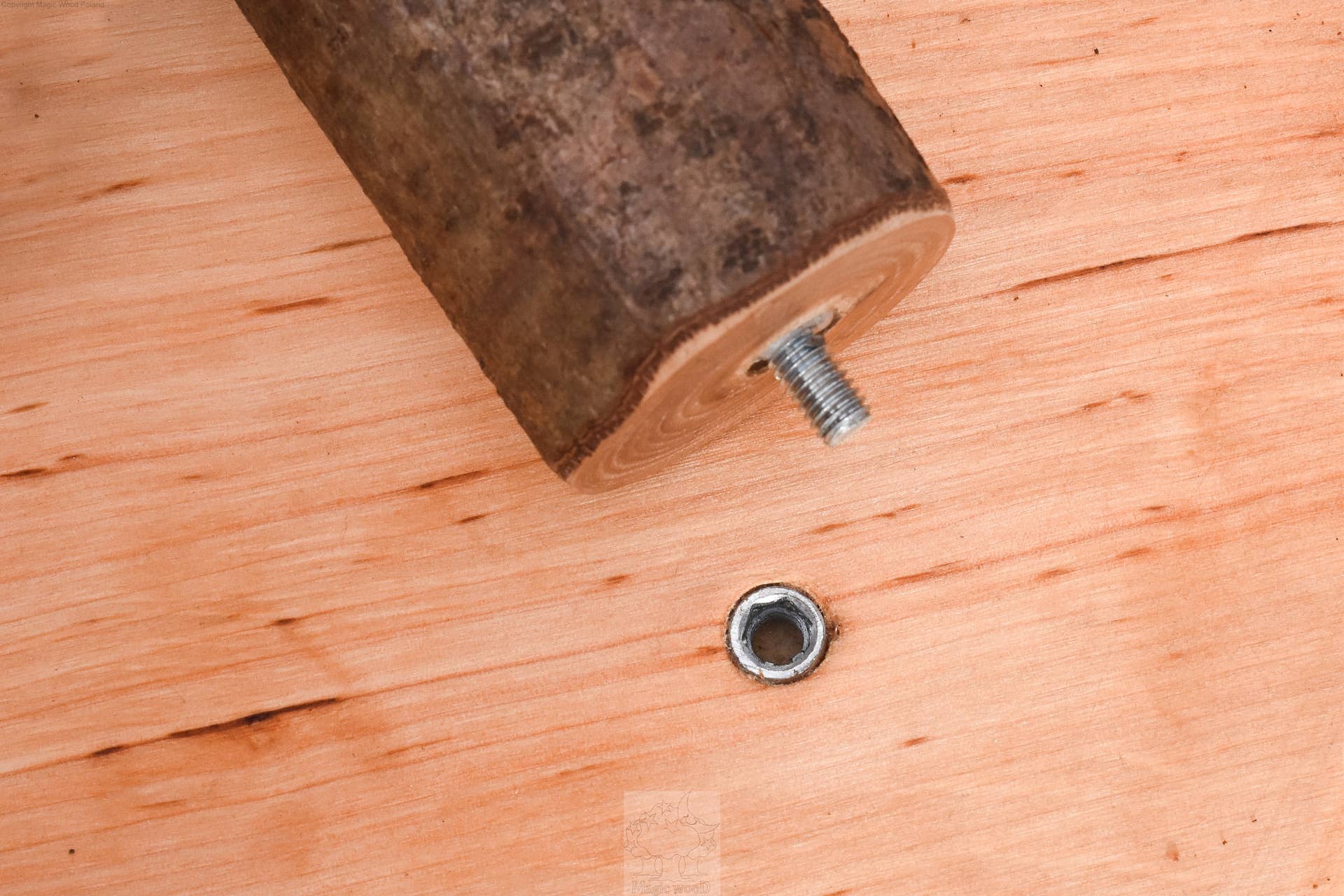 Little Poland Gallery - Wholesale Wood Toy - Kids - Magic Wood Tree House in Parts2