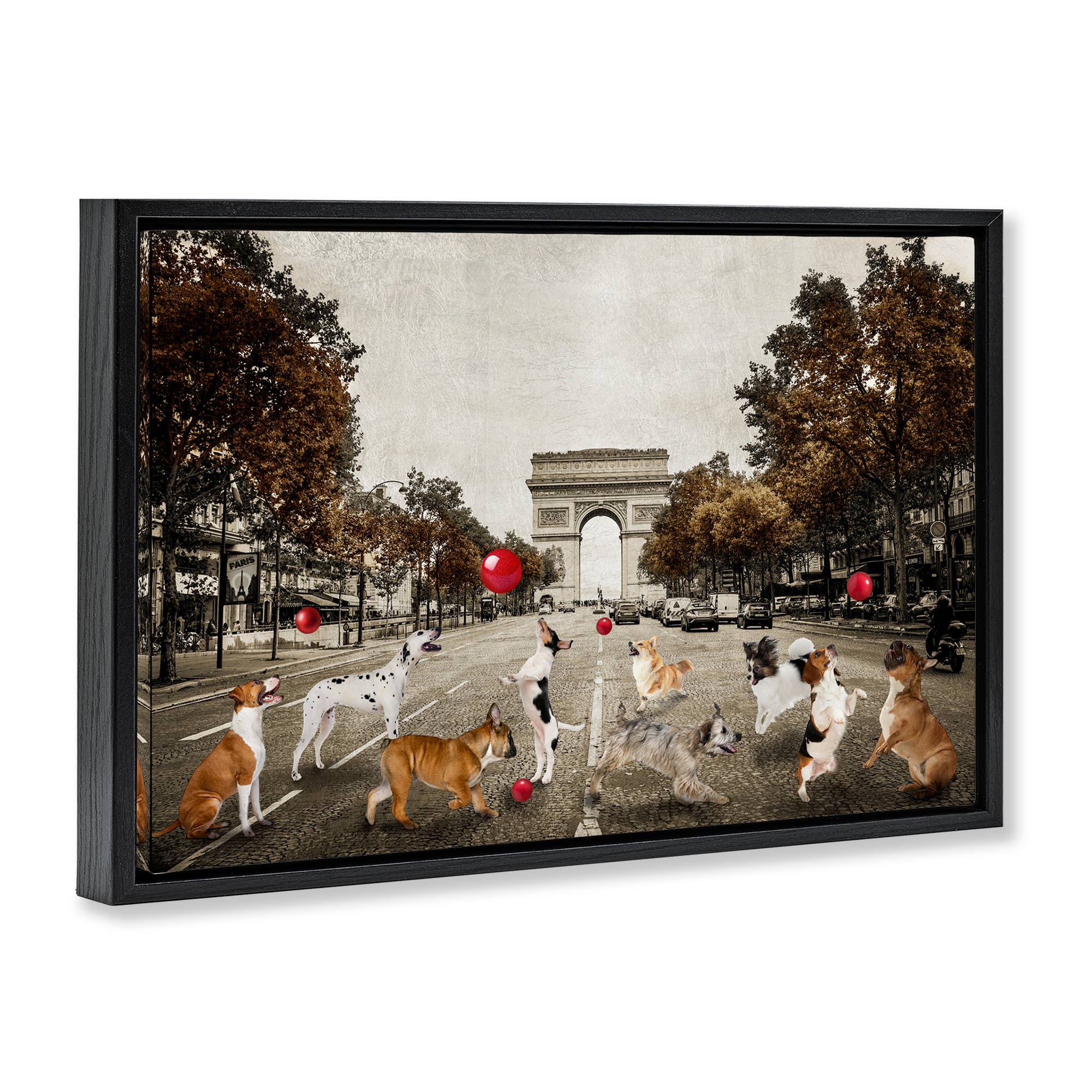 Stupell Industries - Wholesale Wall Sign - Dogs Playing Among Architecture - Framed Wall Art19