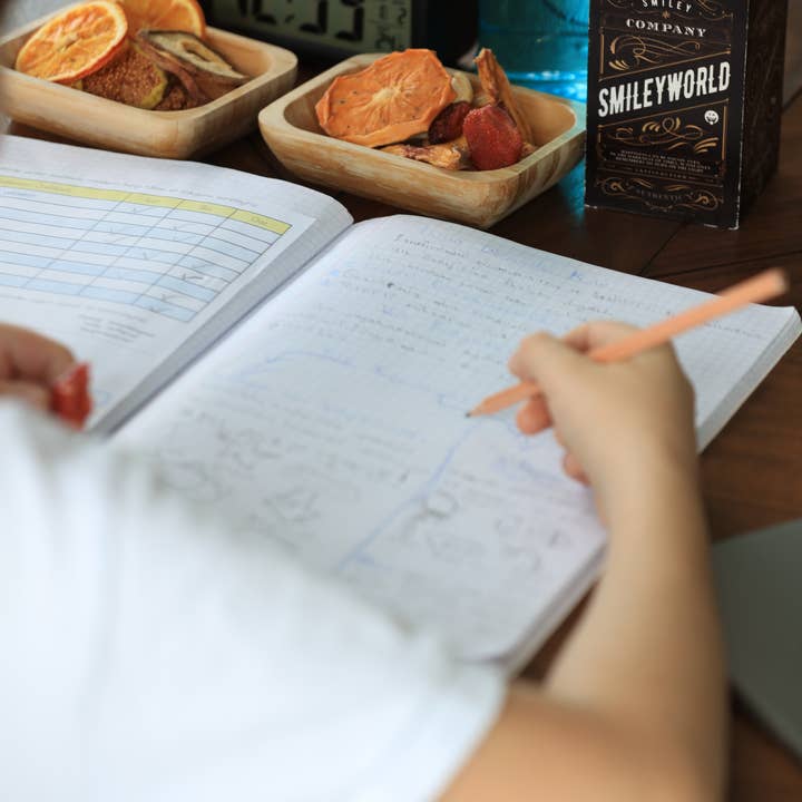 WestShine – wholesale Dried/dehydrated fruit – Organic Dried Orange Slices, Navel Orange, Pieces, Bits,18