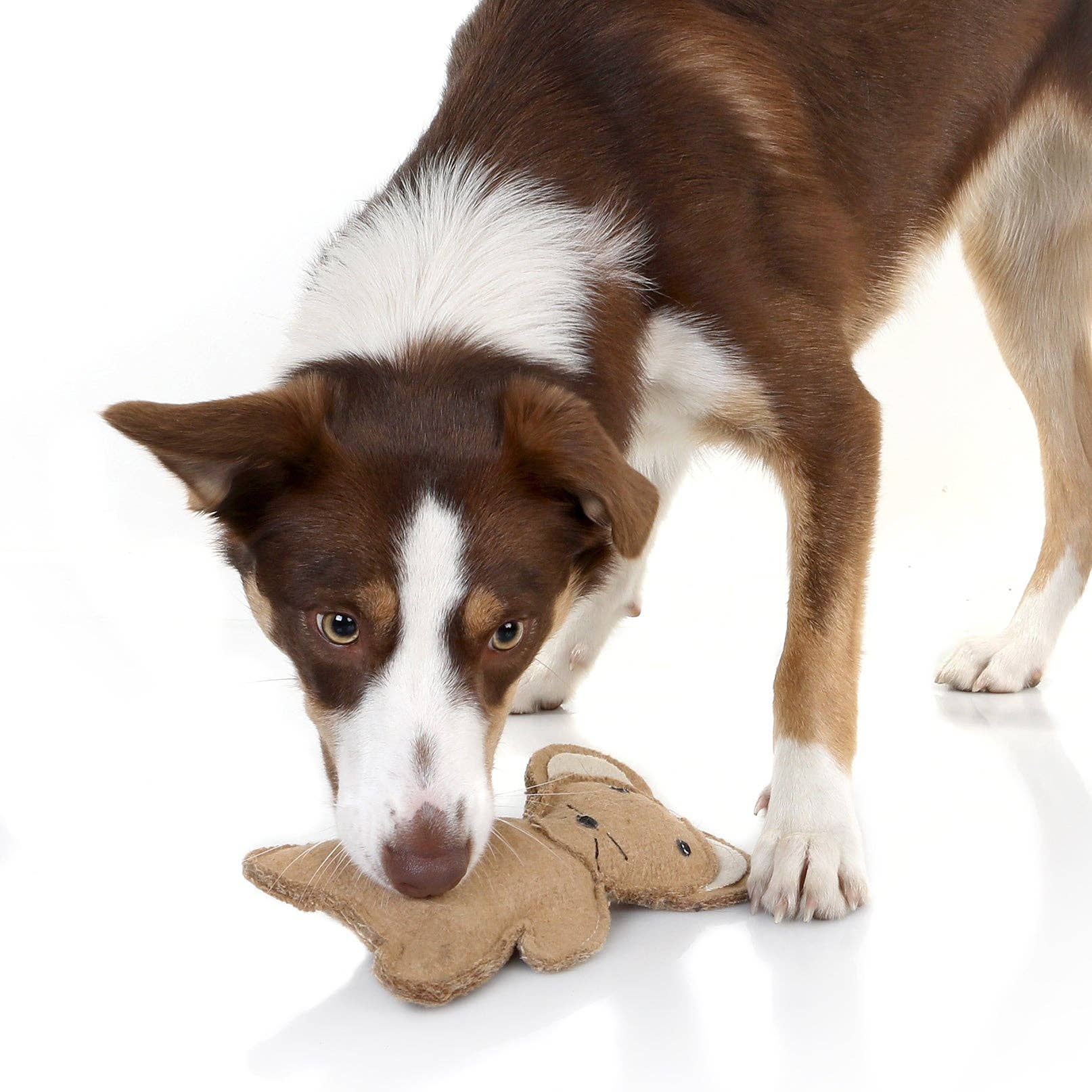 Outback Tails - Wholesale Kauwspeeltje voor honden - Hond - Country Tails Mouse kauwspeeltje2