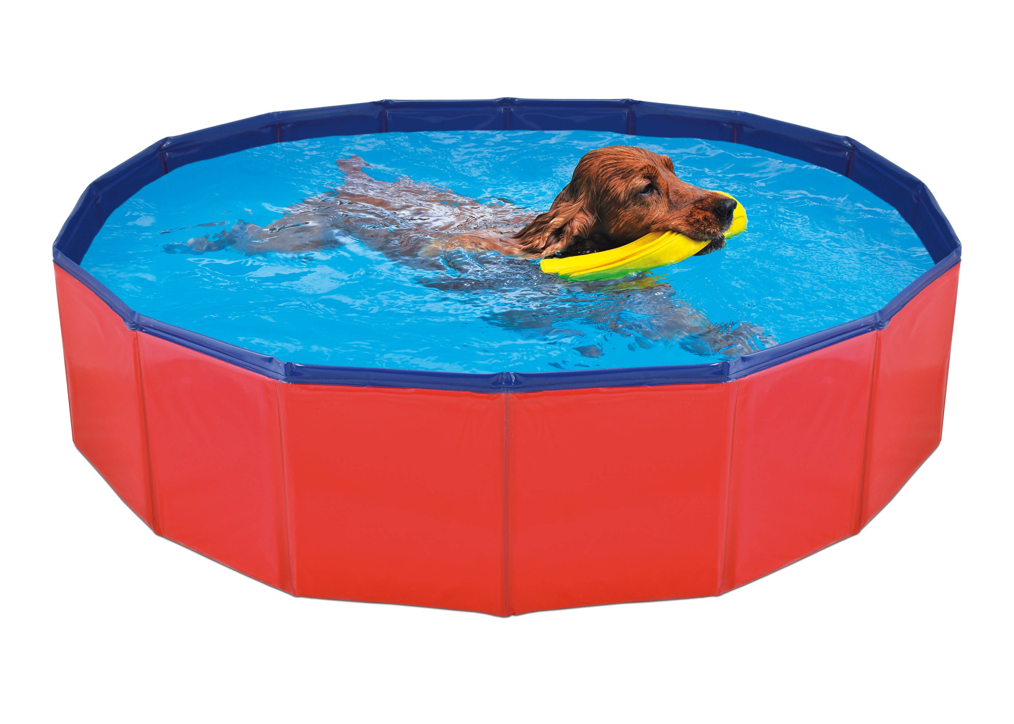 Nayeco - Wholesale Pet Bowl - Cat/Dog - Dog Pool2