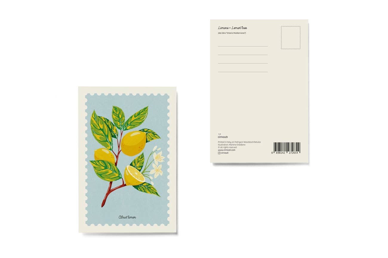 Cirnauti - Wholesale Everyday Greeting Card - Lemon postcard1