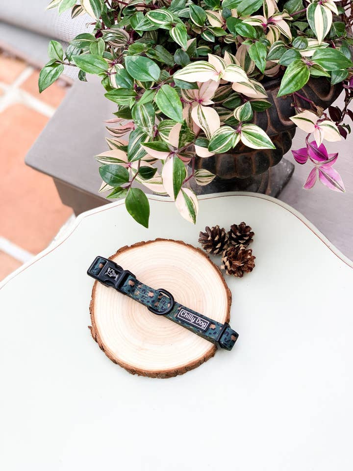 Green Leopard Print Woodland Adventure Puppy Dog Collar for wholesale by Chilly Dog