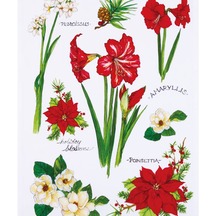 Peking Handicraft - Wholesale Tea Towel - Field Guide Holiday Blossoms Kitchen Towel - Sally Eckman Roberts0