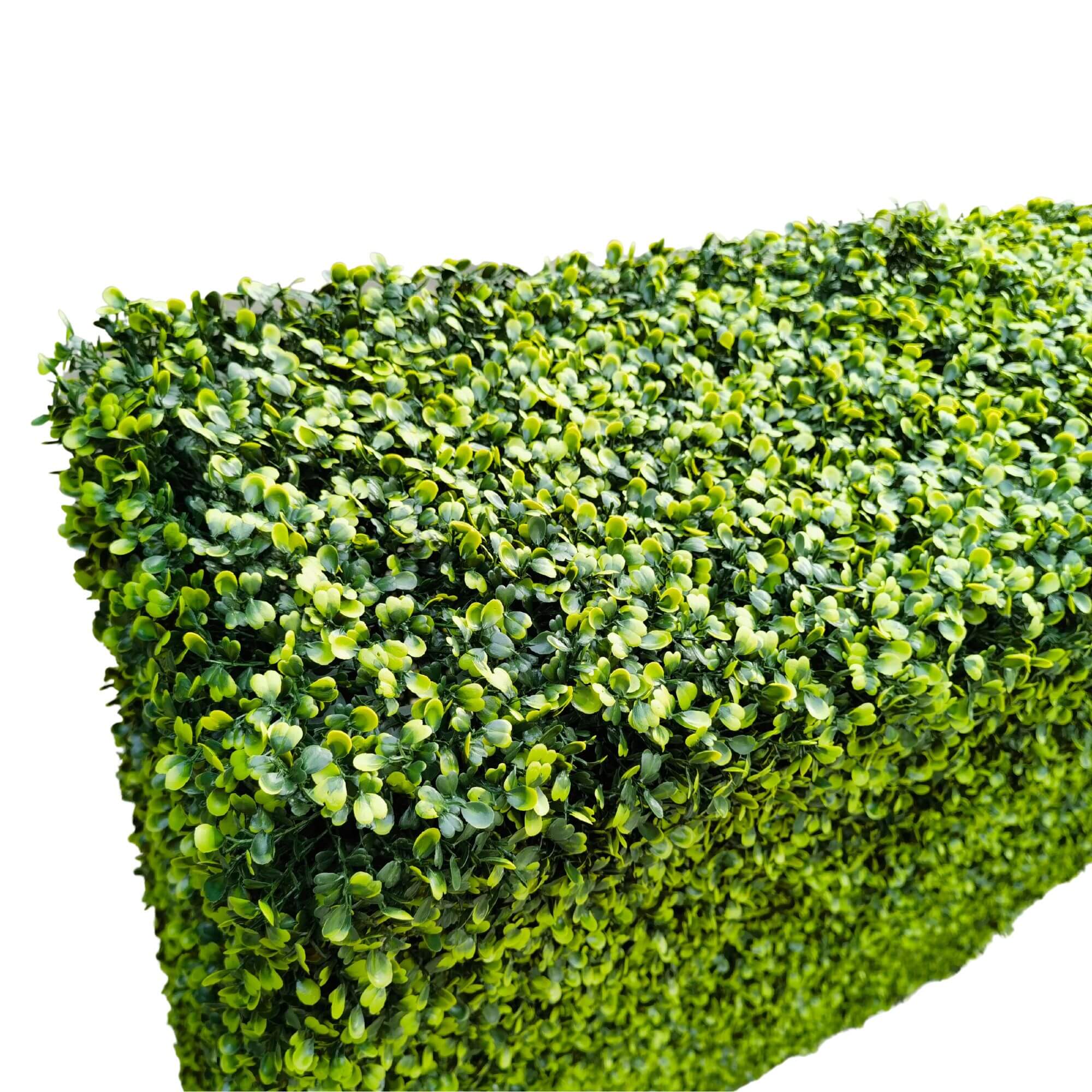 Designer Plants - Vente Plantes artificielles - Haie de Buis Artificielle Vert Clair Premium 30"L x 30"H Qualité Commerciale Résistante aux UV6