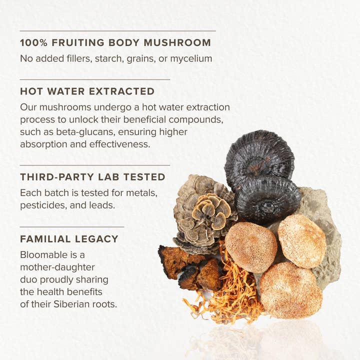 Bloomable Natural Products – wholesale Protein/superfood powder – Tonic Mushroom Extract Blend (60 gr)4