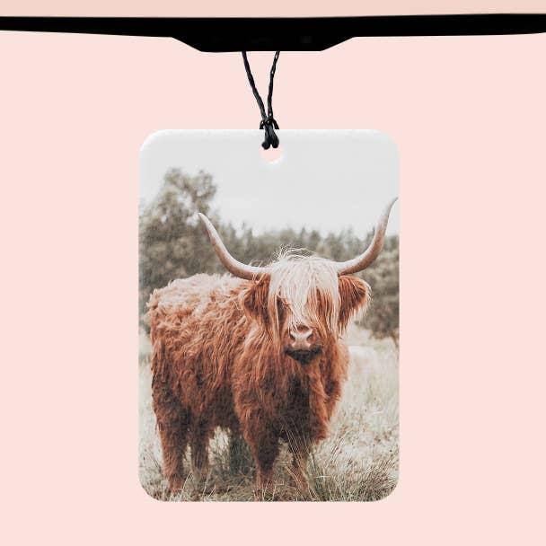 Désodorisant pour voiture Boho Highland pour la vente par Texas Petunias Boutique