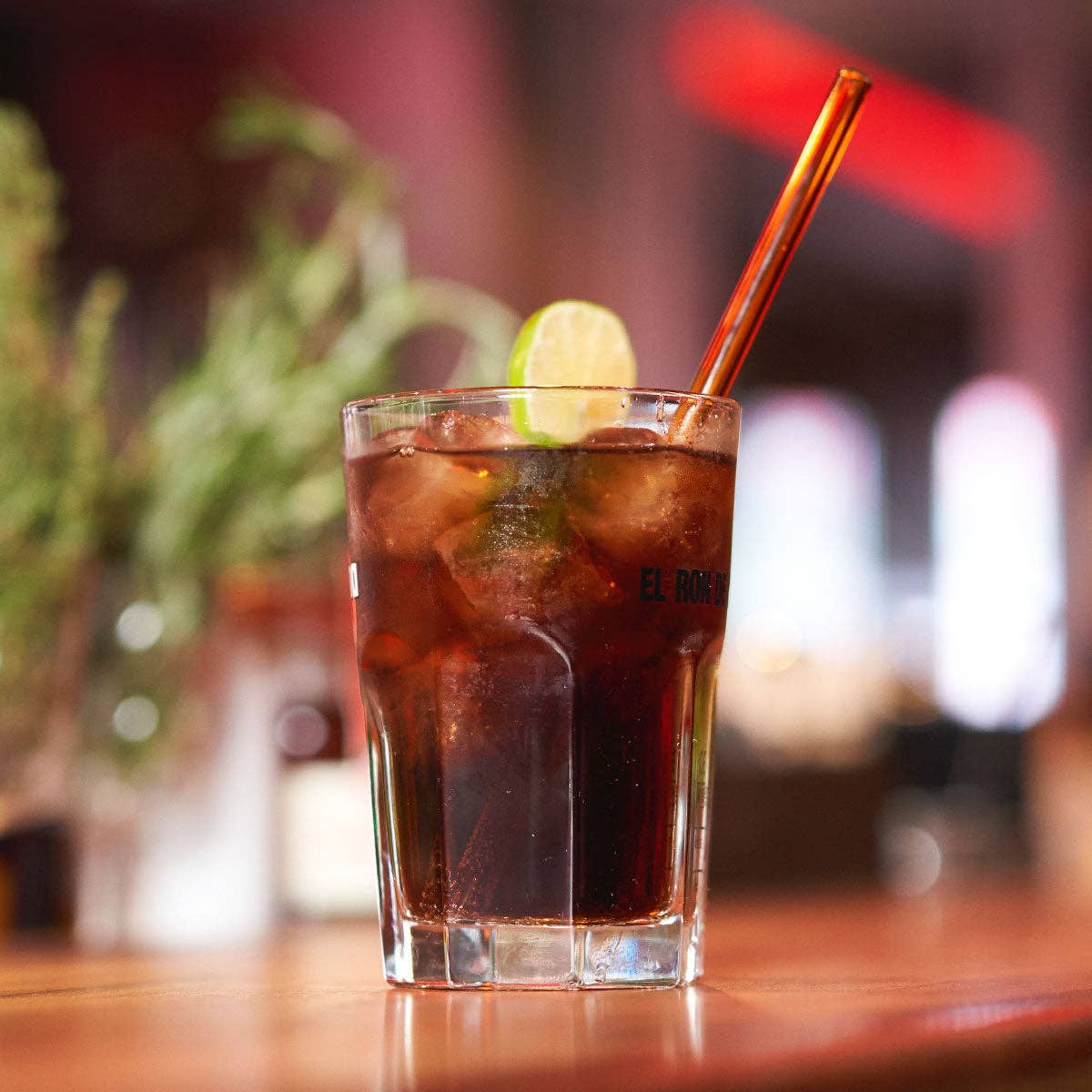 50 grey glass drinking straws “jack of all trades” (20 cm) +cleaning for wholesale on Faire5