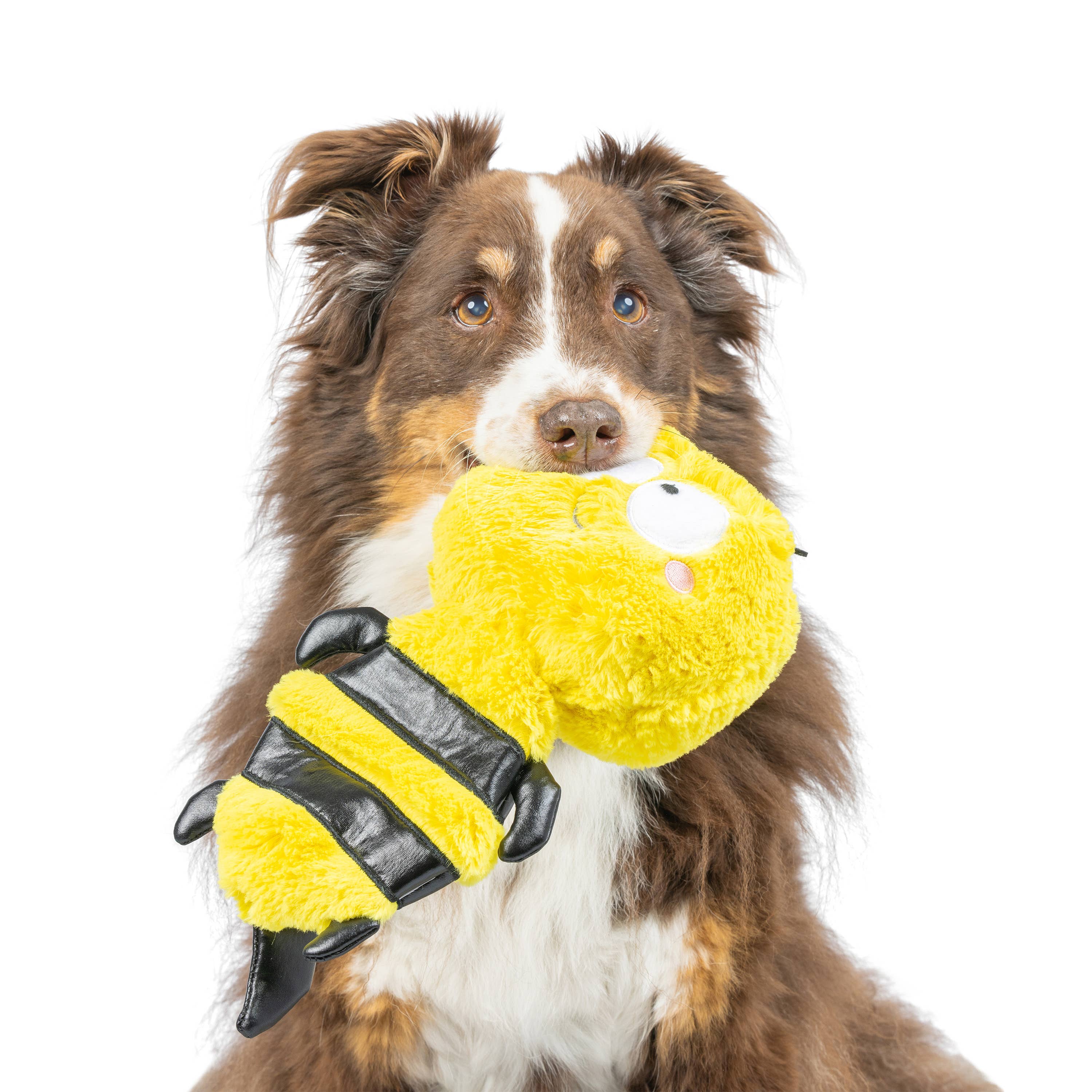 Huxley & Kent - Wholesale Pet Plush Toy - Dog - Slappies® Buzz Bee Dog Toy2