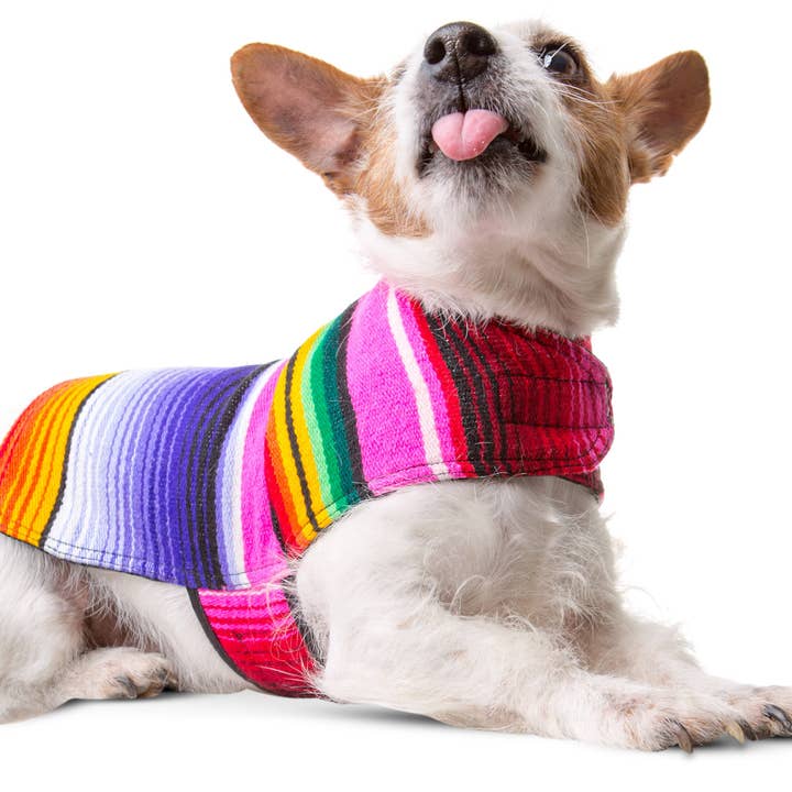 Baja Ponchos - Wholesale Pet Poncho - Dog - Dog Poncho From Mexican Serape Blanket - Pink3