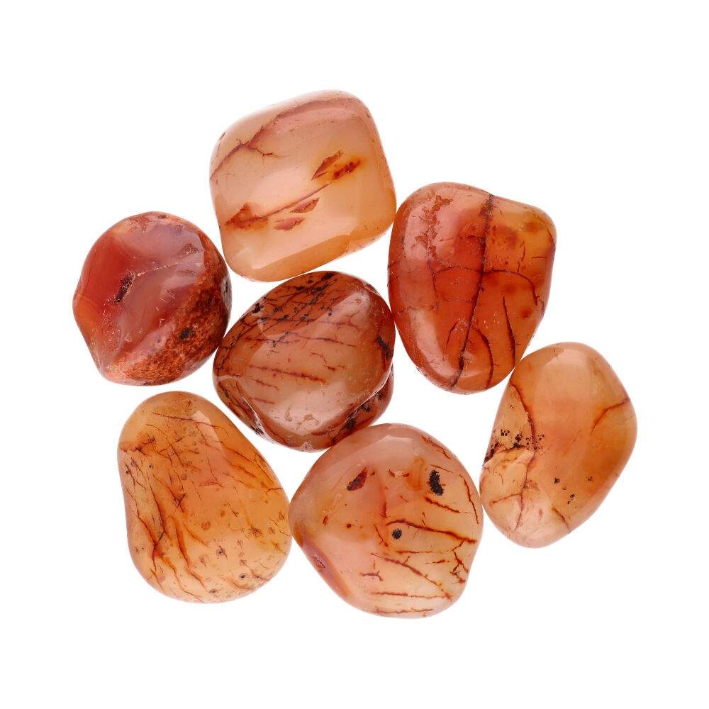 Vives de la Cortada S.L - Wholesale Spiritual Stone/Crystal - Extra Quality Carnelian Tumbled Stones 3x2cm1
