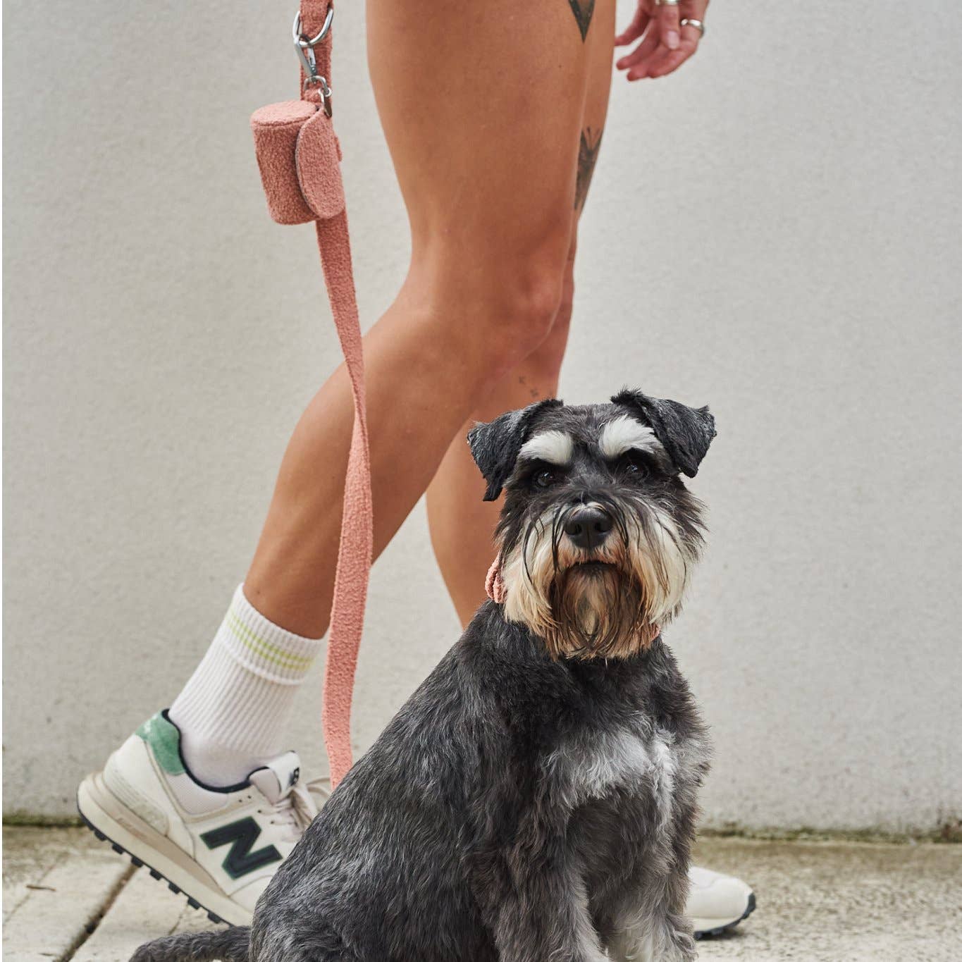 Lilly + Dash - Wholesale Pet poo bag dispenser - waste bag holders5