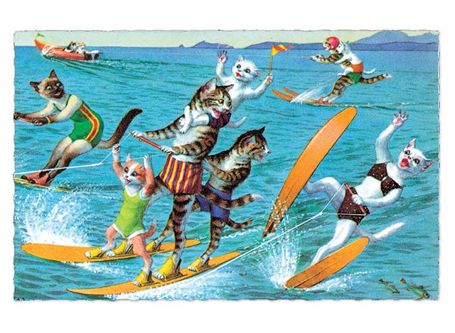 Laughing Elephant - Wholesale Postcard - Delightfully Dressed Cats - Everyday Boxed Postcards19