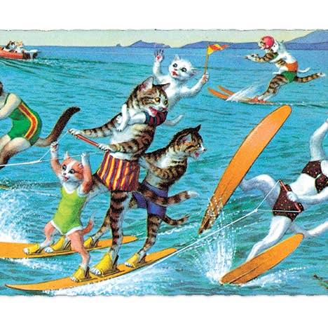 Laughing Elephant - Wholesale Postcard - Delightfully Dressed Cats - Everyday Boxed Postcards19