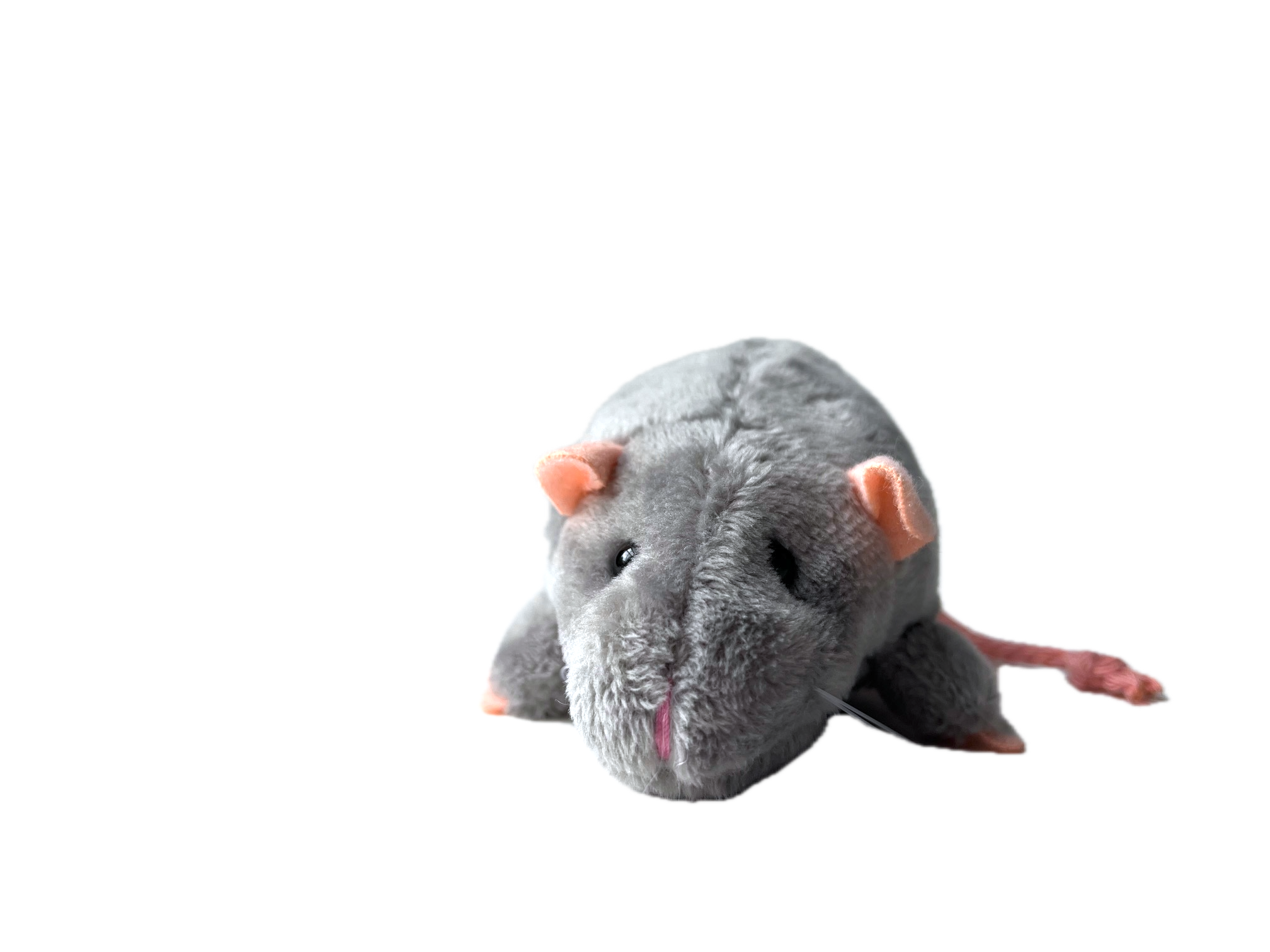 The Gifted Rat - Vendita all'ingrosso Peluche - Bambini e neonati - Piccolo Topo di Peluche Grigio3