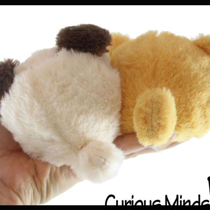 Curious Minds Toys - Wholesale Squishy Toy - Kids & Baby - 1 Plush Dog Animal Water Bead Filled Squeeze Stress Balls -