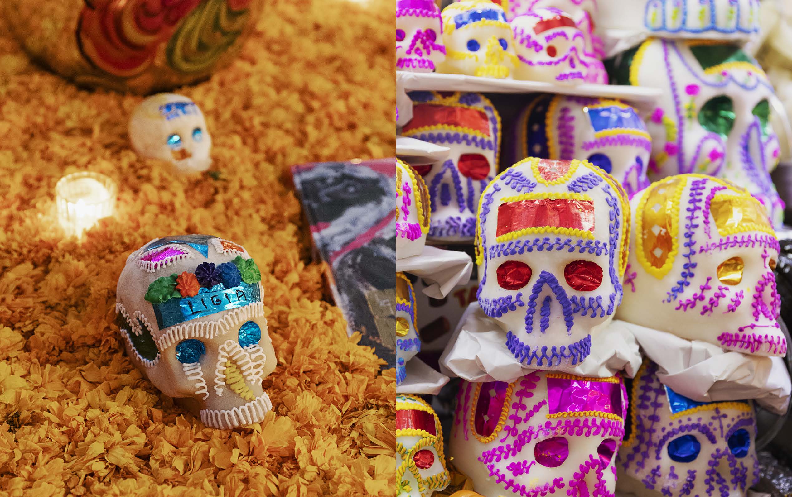 Chronicle Books - Wholesale Display Book - Mexico's Day of the Dead4