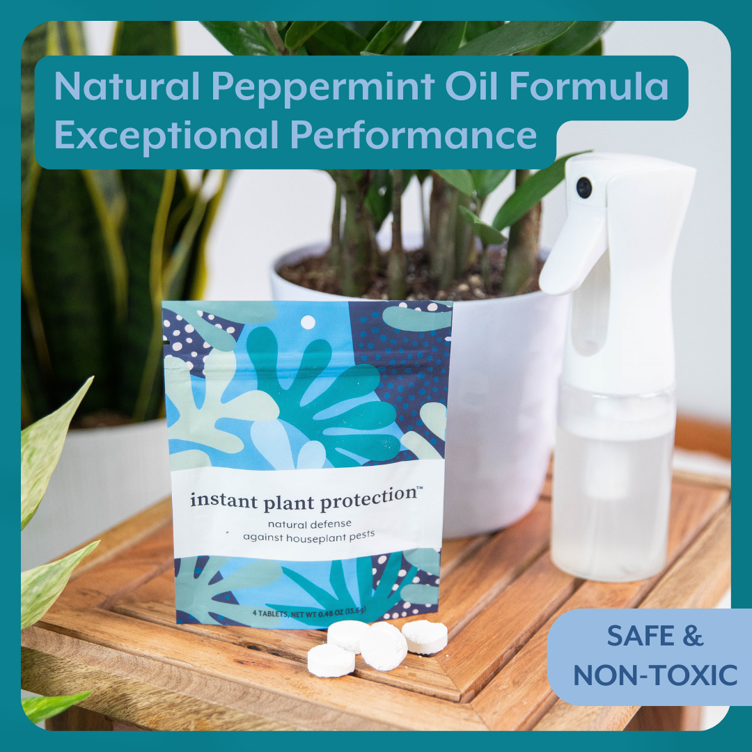 Instant Plant Food - Wholesale Fertilizer - Natural Houseplant Pest Control - Peppermint Leaf Spray3