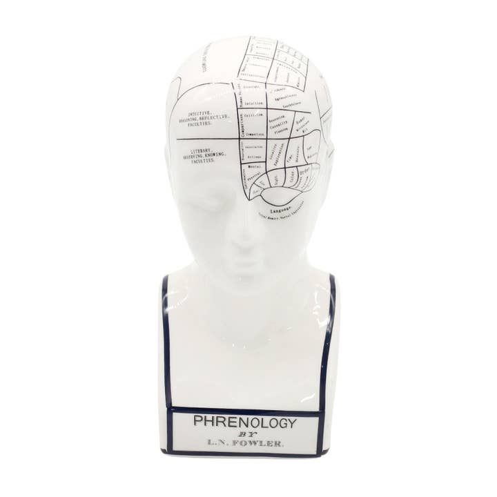 Tête de phrénologie pour la vente par Fieldstone Home