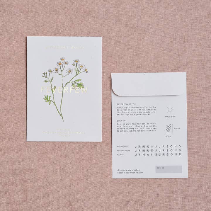 Botanique Workshop - Wholesale Plant Seeds - Feverfew Tanacetum Seed Packet