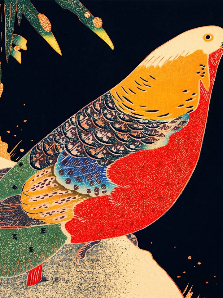 Fagiano dorato per la vendita all'ingrosso da parte di Animato