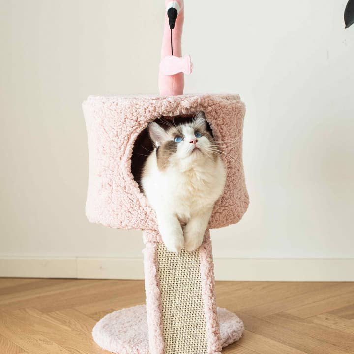 PetPals Group - Wholesale Pet Scratcher - Cat - Catry Flamingo Cat Tree with Scratching Ramp2