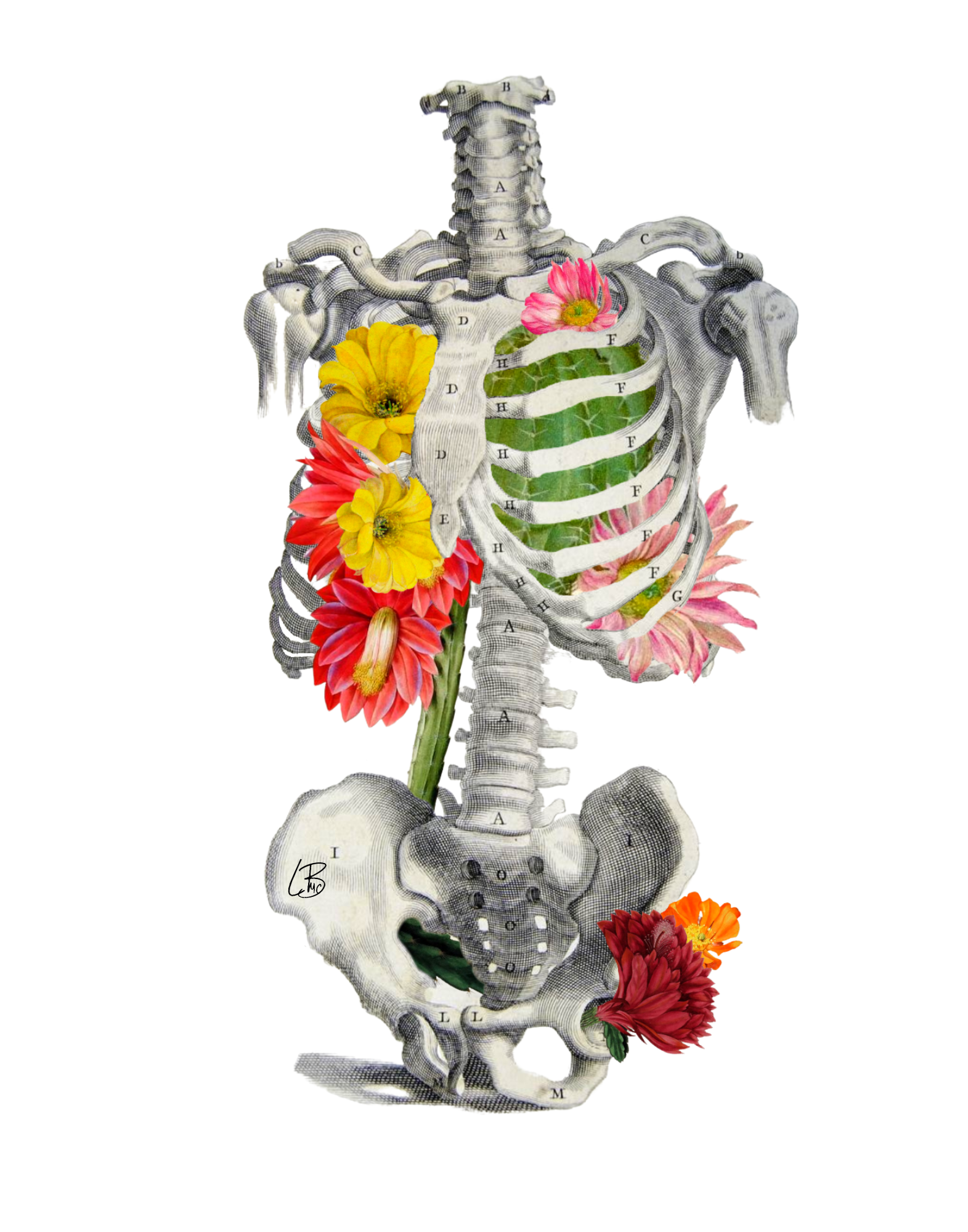 Weißer Hintergrund Alles ausgetrocknet für den Großhandel auf Faire1