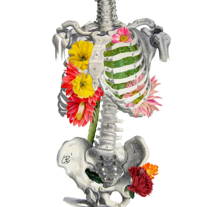 Weißer Hintergrund Alles ausgetrocknet für den Großhandel auf Faire1