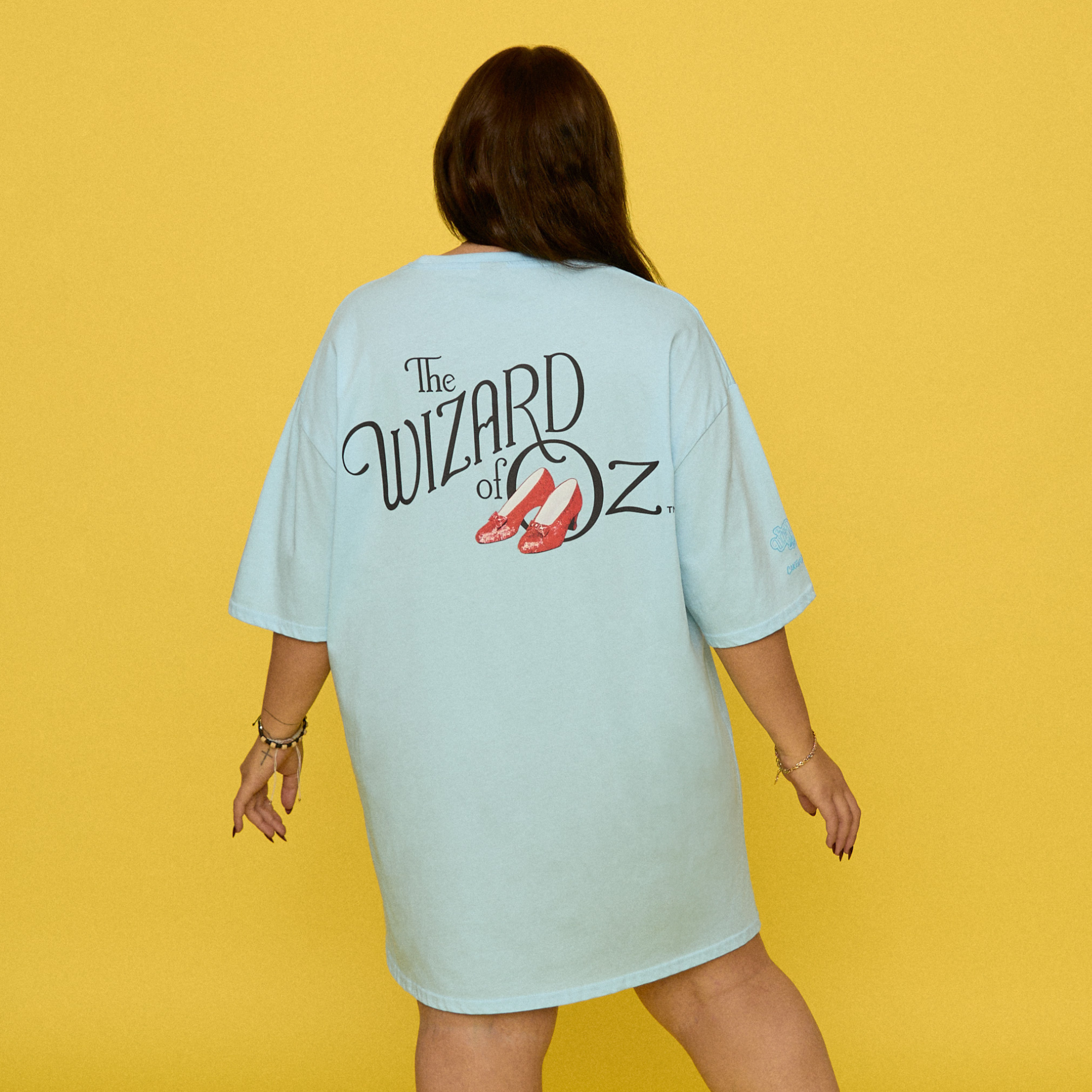 Cakeworthy - Wholesale Dress - Women's - The Wizard of Oz Dorothy T-Shirt Dress6
