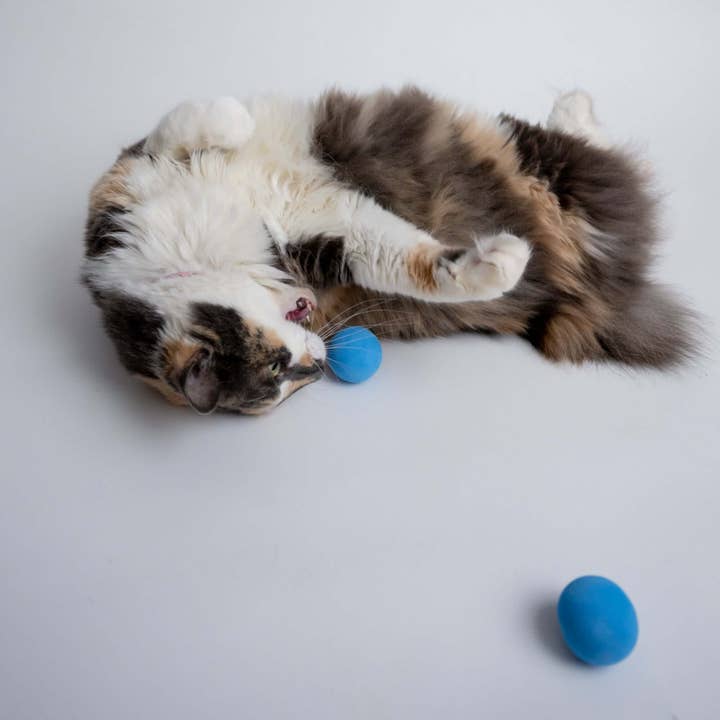 Rawry Pets - Wholesale Pet Toy - Cat - Foam Ball Cat Toy1