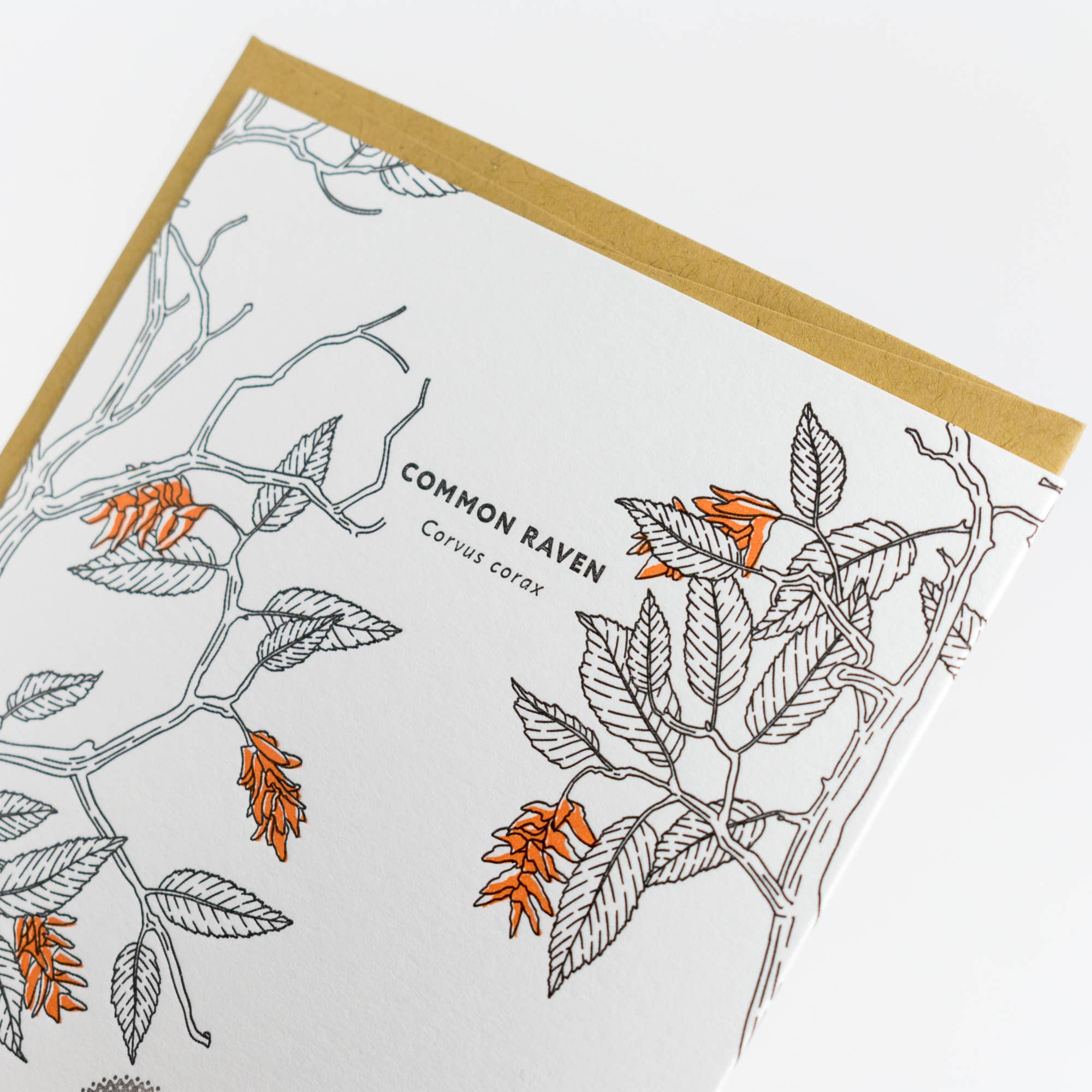 Porchlight Press Letterpress – wholesale Vardagliga hälsningskort – Common Raven Card - West Coast Birds2