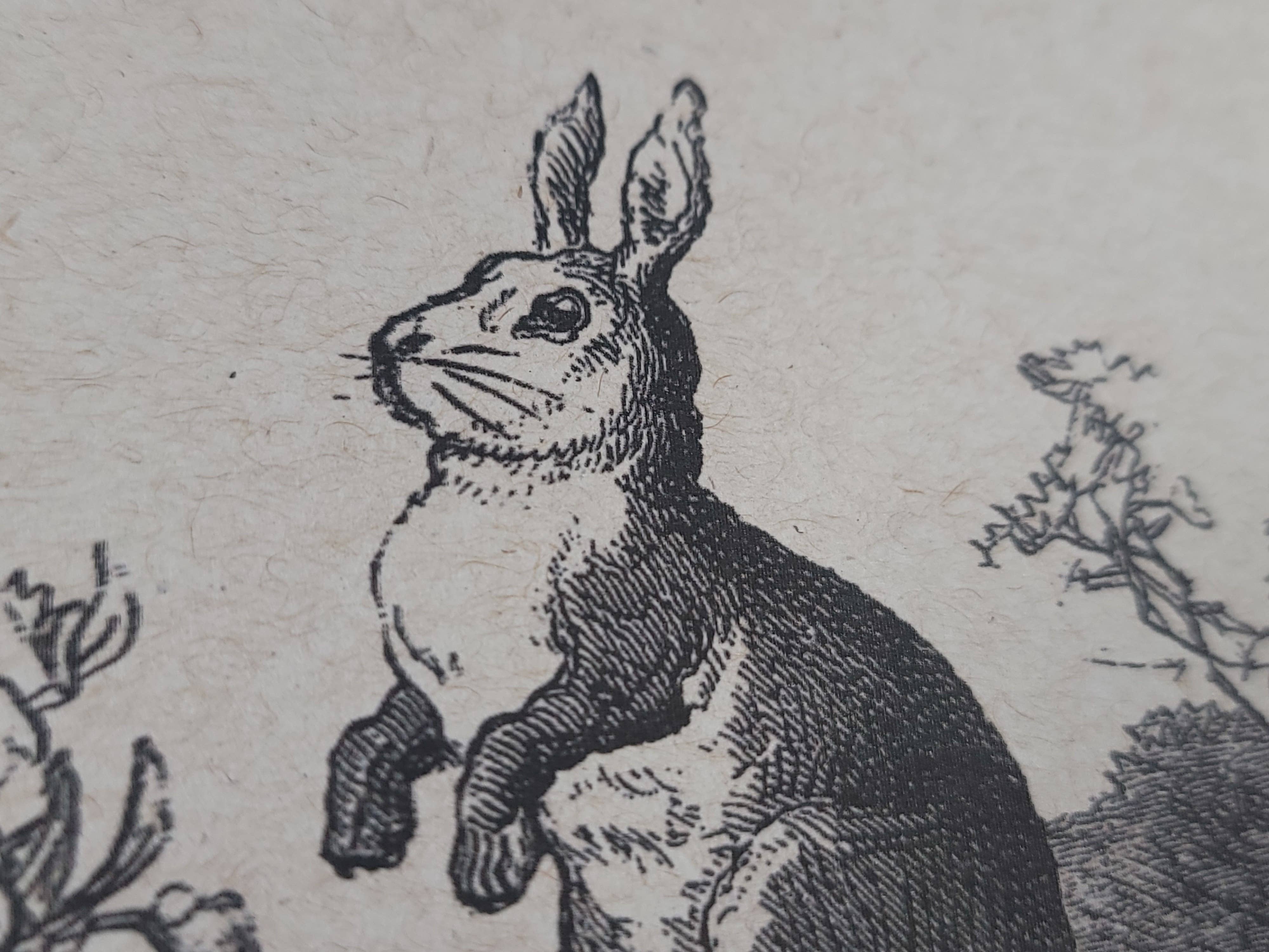 Superior Dry Goods - Wholesale Everyday Greeting Card - "Rabbits" Recycled Greeting Cards | Handcrafted5