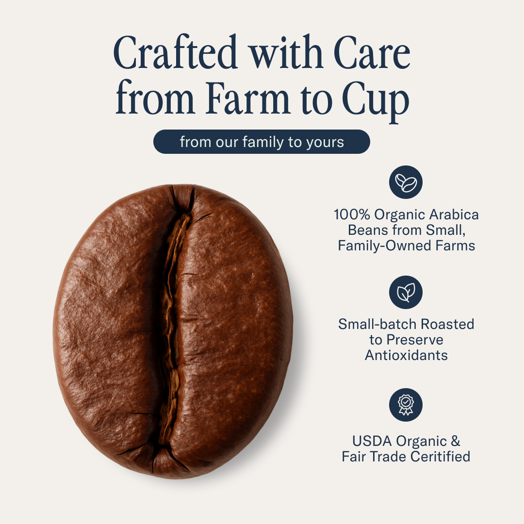 Seek - Wholesale Iced Coffee/Cold Brew - Seek® Organic Decaf Mold-Free Iced Coffee - 6 Cans3